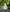 '- Sleeveless A-Line Dress with Vertical Piping