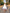 Sleeveless Horizontal Stripe Hem Fit-and-Flare Dress