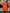Women's Skirt Suit For Formal Occasions