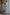 Floral Print Mid-Length Dress with Three-Quarter Sleeves and Belted Waist