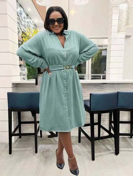 Teal midi dress, V-neck button front with adjustable belt and long sleeves