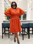 Long Sleeve V-Neck Button Detail Belted Dress