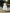 Sleeveless Square Neckline Flared Dress with Front Button Detailing