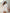 Short-Sleeve Ring-Knot Crop Top and Elastic Waist Shorts Set