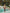 Tropical Floral Two-Piece Swimsuit Set