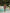 Women's Three-Piece Swimsuit Set｜Crop Top + High-Waist Bottom + Cover-Up