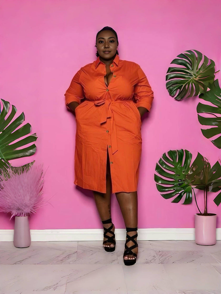 Mid-Length Belted Shirt Dress