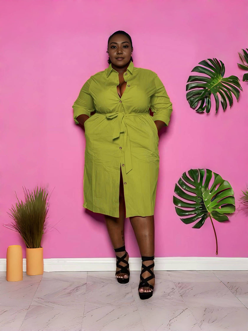 Mid-Length Belted Shirt Dress