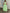 Tiered Maxi Skirt Set with Sleeveless Tie-Front Crop Top – Women's Boho Two-Piece Outfit for Summer