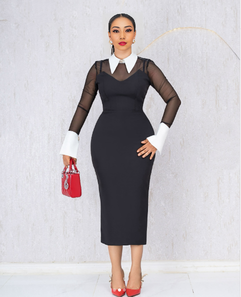 Slim fit mesh panel midi dress with stand collar, sheer black sleeves, dark body