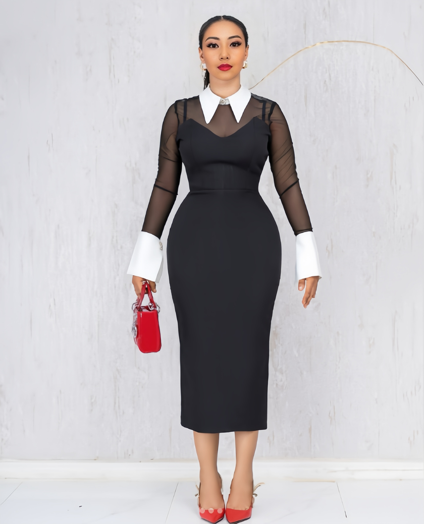 Slim Fit Dress with Sheer Mesh Panels, Stand Collar and Contrast Collar & Cuffs