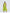 Sleeveless Fit-and-Flare Maxi Dress with Pleated Waist