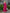 Elegant Pleated Long-Sleeve Dress with Cinched Waist for Versatile Styling