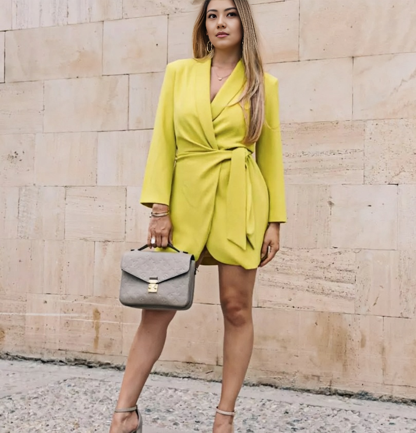 Wrap Dress  Long Sleeve Bow Tie Mini