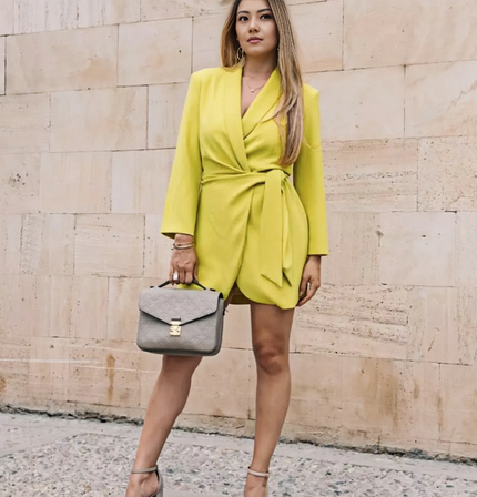 Wrap Dress  Long Sleeve Bow Tie Mini
