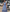 Sleeveless Knee-Length Fit and Flare Dress