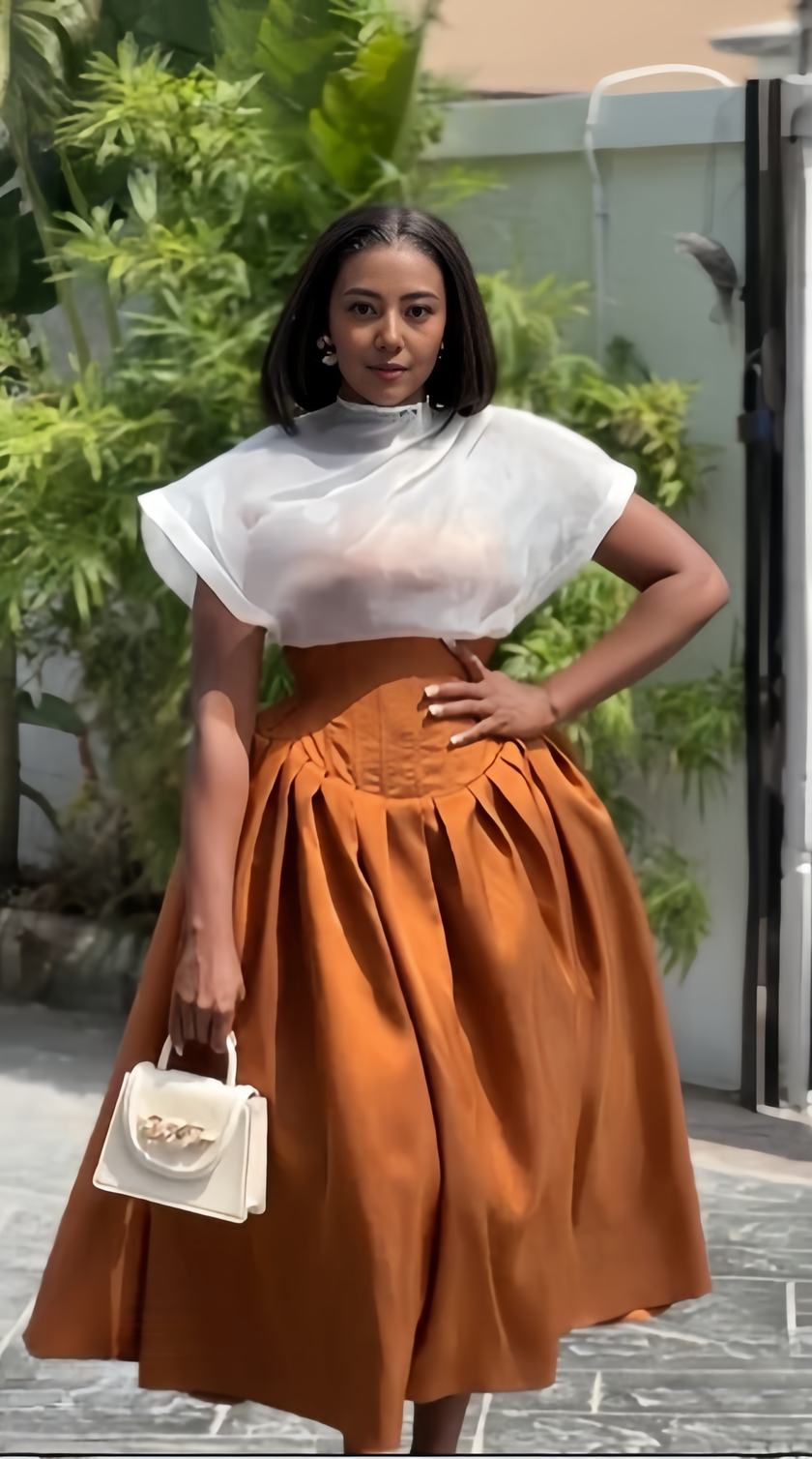 Elegant Sheer-Sleeve Top & Pleated Midi Skirt Twin Set