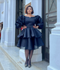 Women's Vintage Puff Sleeve Layered Skirt Dress