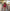 Ethnic Style Geometric Pleated Dress with Wavy Sleeves