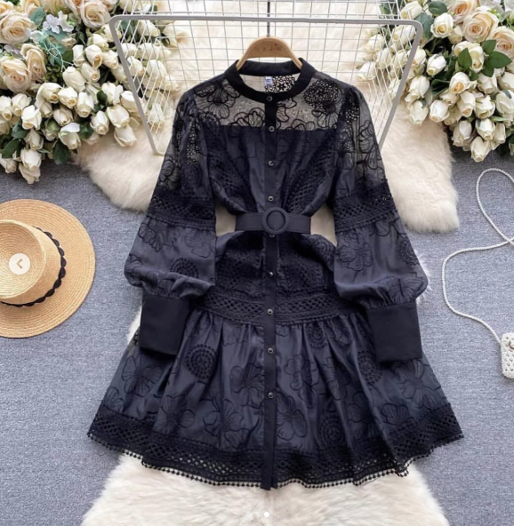 Lace Long Sleeve Dress - Belted Accent, Floral Pattern, Layered Design