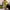 Spring Formal Long Sleave Suits Dress