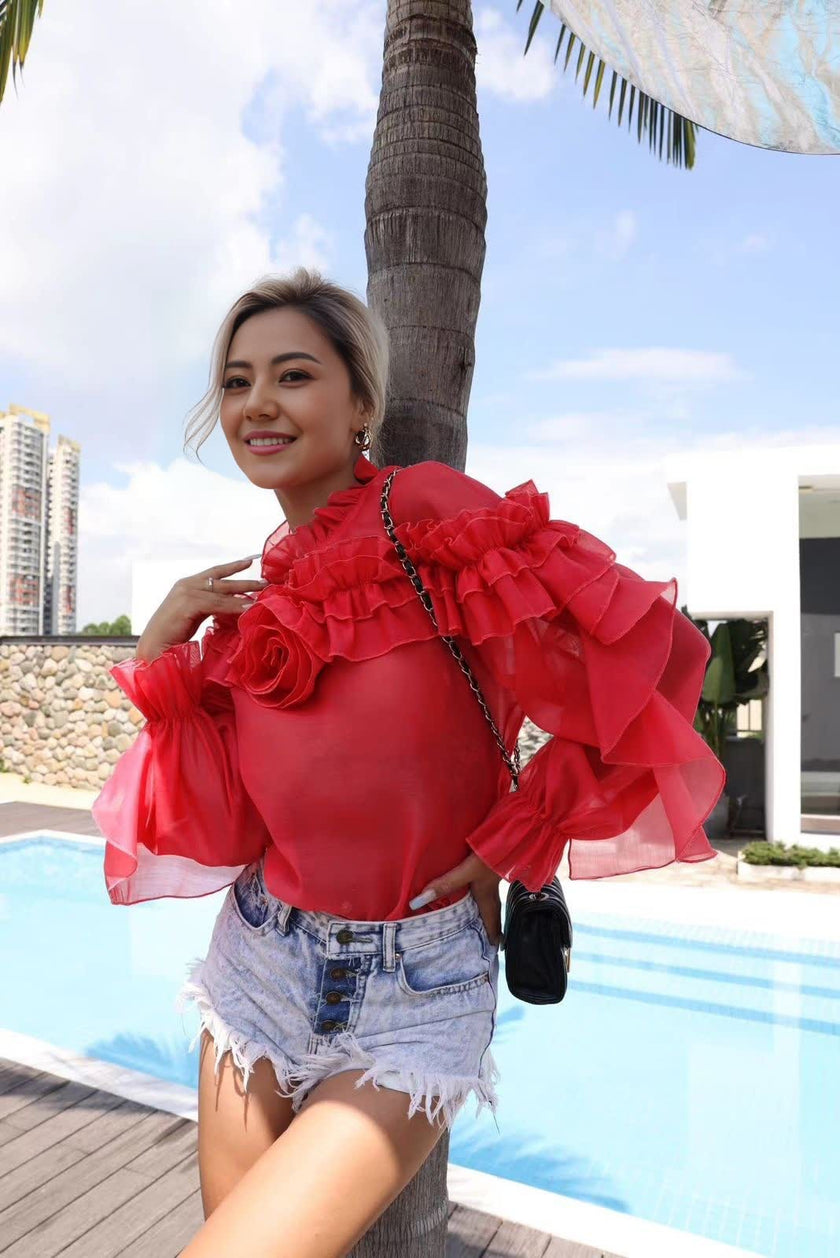 Sheer Long-Sleeve Top with Ruffle Details and Floral Neckline Embellishments